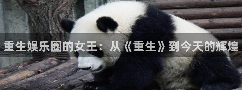 万赢娱乐体育娱乐注册链接：重生娱乐圈的女王：从《重生》到今天的辉煌