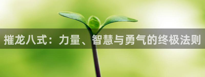 www.万赢娱乐体育.com：摧龙八式：力量、智慧与勇气的终极法则