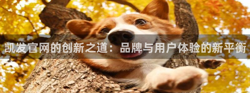 万赢娱乐体育4：凯发官网的创新之道：品牌与用户体验的新平衡