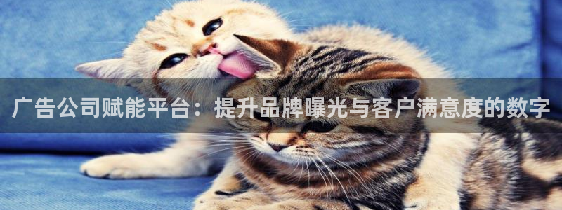 万赢娱乐4登录：广告公司赋能平台：提升品牌曝光与客户满意度的数字