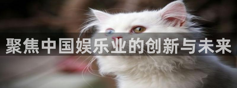 万赢娱乐kgame：聚焦中国娱乐业的创新与未来