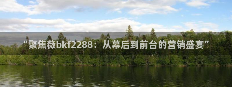 万赢娱乐：“聚焦薇bkf2288：从幕后到前台的营销盛宴”
