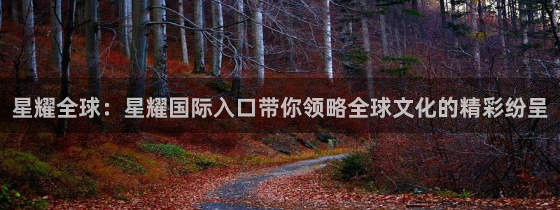 万赢娱乐体育凯捷平台注册：星耀全球：星耀国际入口带你领略全球文化的精彩纷呈