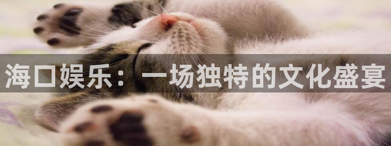 万赢娱乐平台官网：海口娱乐：一场独特的文化盛宴