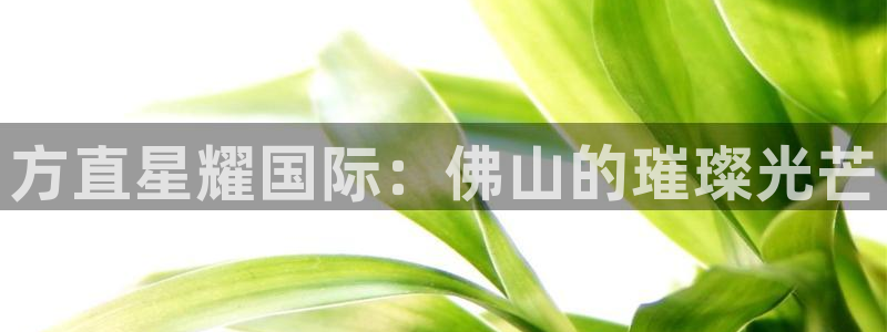 万赢娱乐集团股票：方直星耀国际：佛山的璀璨光芒