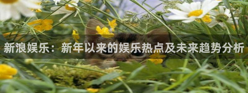 万赢娱乐体育凯捷代理注册：新浪娱乐：新年以来的娱乐热点及未来趋势分析