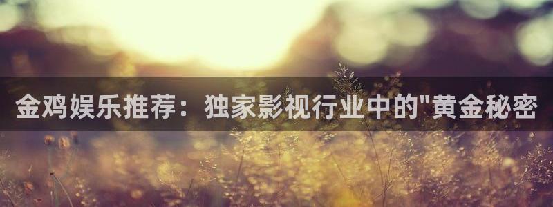 万赢娱乐3登陆：金鸡娱乐推荐：独家影视行业中的\