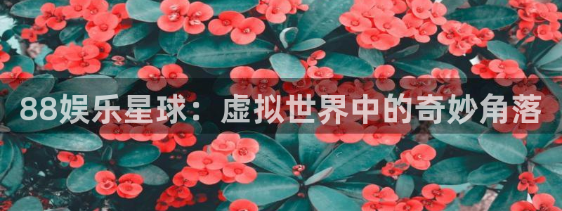 万赢娱乐2平台注册：88娱乐星球：虚拟世界中的奇妙角落