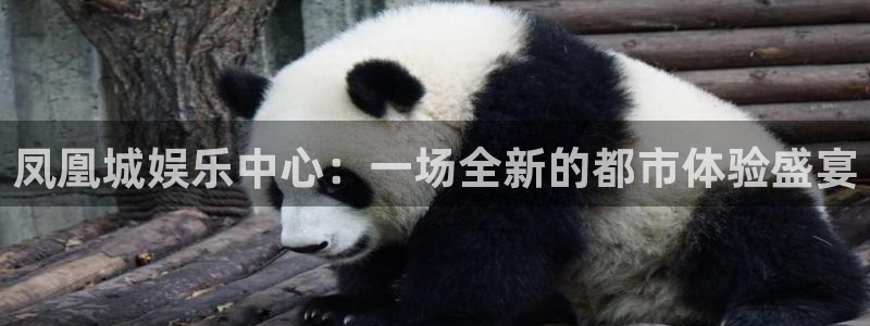 万赢娱乐2体育：凤凰城娱乐中心：一场全新的都市体验盛宴