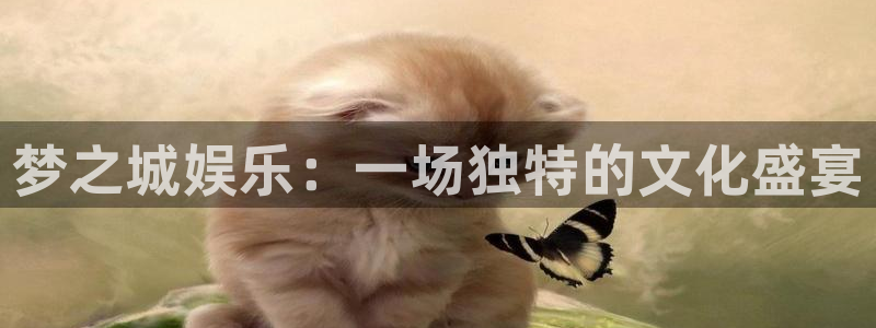万赢娱乐体育平台总代理：梦之城娱乐：一场独特的文化盛宴
