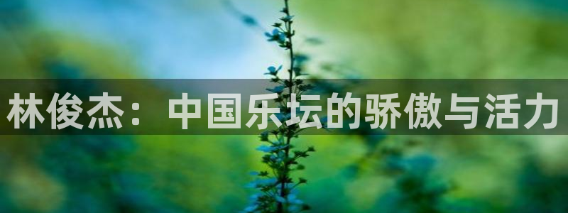 上海万赢娱乐汽车电子有限公司：林俊杰：中国乐坛的骄傲与活力