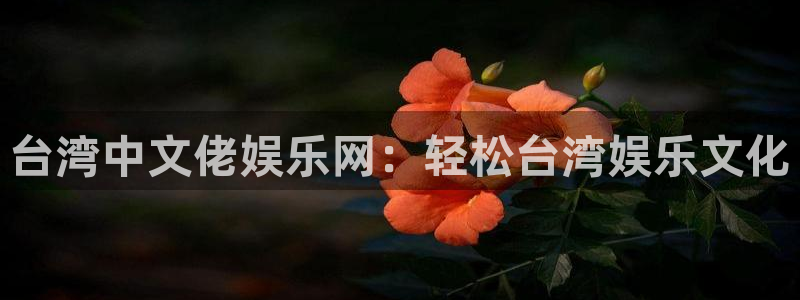 万赢娱乐4：台湾中文佬娱乐网：轻松台湾娱乐文化