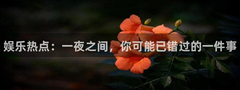 万赢娱乐3官网：娱乐热点：一夜之间，你可能已错过的一件事