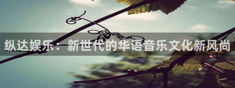 万赢娱乐环保：纵达娱乐：新世代的华语音乐文化新风尚