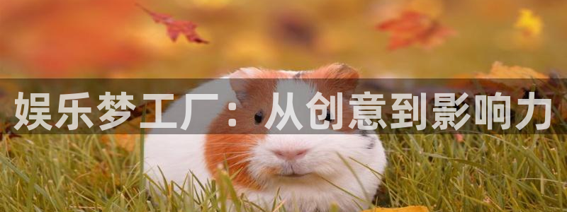万赢娱乐登录注册：娱乐梦工厂：从创意到影响力