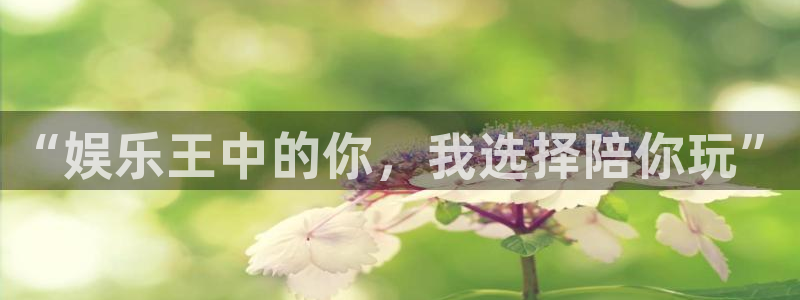 万赢娱乐体育代理：“娱乐王中的你，我选择陪你玩”