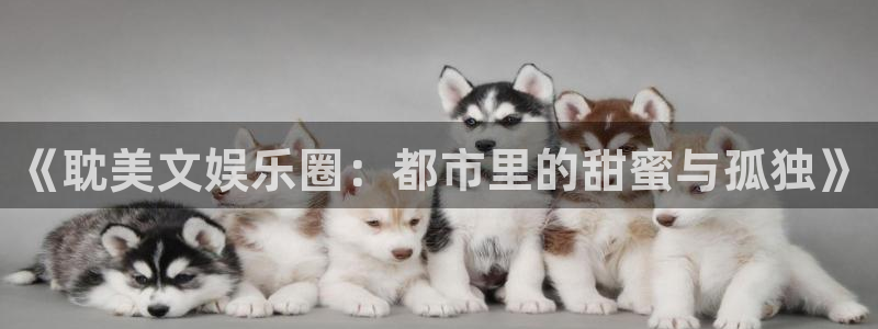 万赢娱乐体育平台登录入口：《耽美文娱乐圈：都市里的甜蜜与孤独》