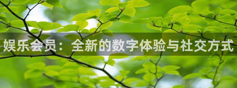 万赢娱乐平台开户链接：娱乐会员：全新的数字体验与社交方式