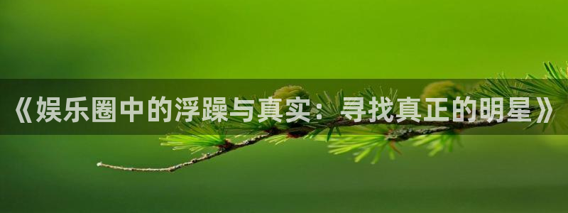 万赢娱乐平台：《娱乐圈中的浮躁与真实：寻找真正的明星》