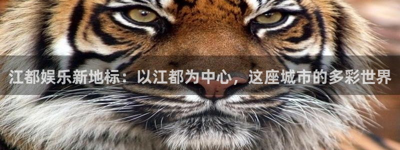万赢娱乐官网入口：江都娱乐新地标：以江都为中心，这座城市的多彩世界