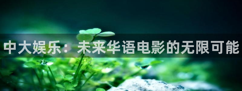 万赢娱乐主管：中大娱乐：未来华语电影的无限可能