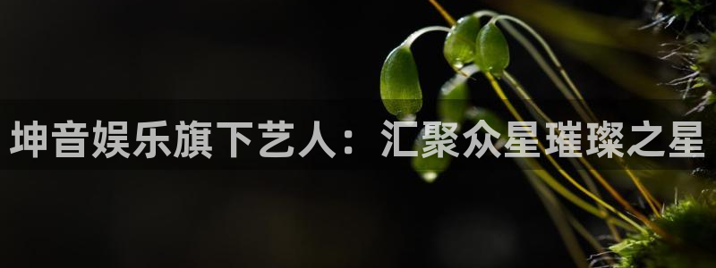 万赢娱乐3注册：坤音娱乐旗下艺人：汇聚众星璀璨之星