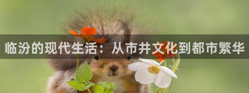 万赢娱乐2平台