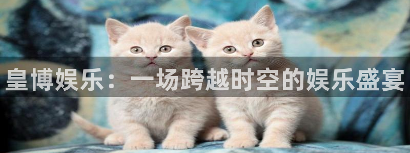 万赢娱乐平台总代理