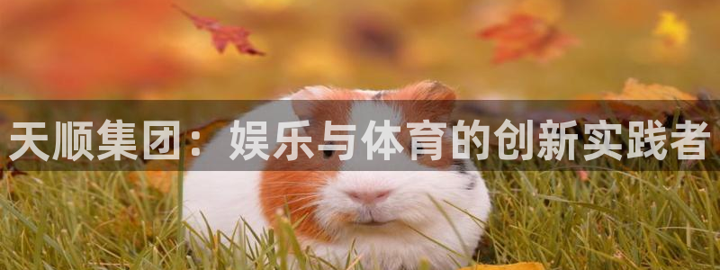 万赢娱乐集团总部：天顺集团：娱乐与体育的创新实践者