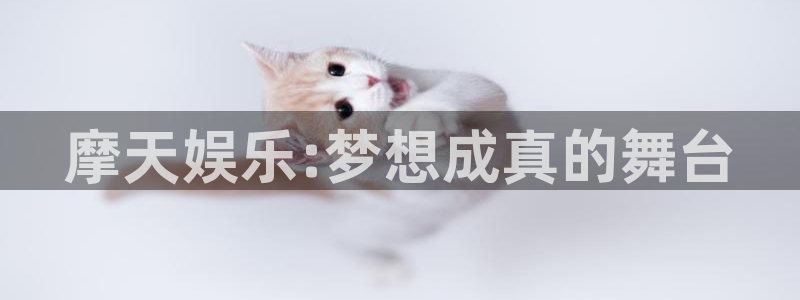 万赢娱乐集团官网：摩天娱乐:梦想成真的舞台