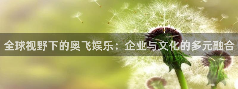 万赢娱乐体育app下载：全球视野下的奥飞娱乐：企业与文化的多元融合