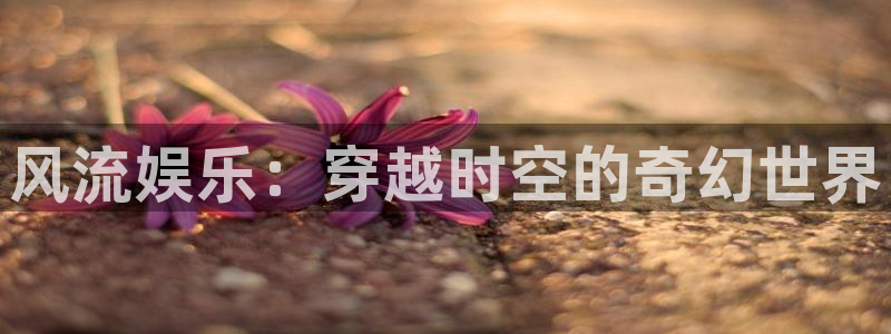 德国万赢娱乐集团：风流娱乐：穿越时空的奇幻世界