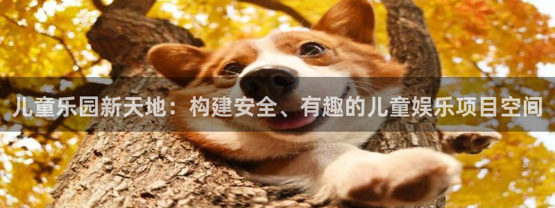 万赢娱乐平台注册：儿童乐园新天地：构建安全、有趣的儿童娱乐项目空间